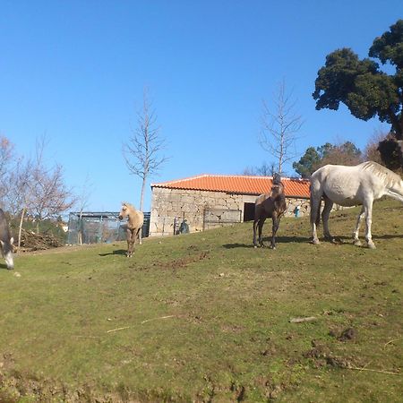 Quinta Da Mata - Turismo De Habitacao Hostal Chaves Exterior foto